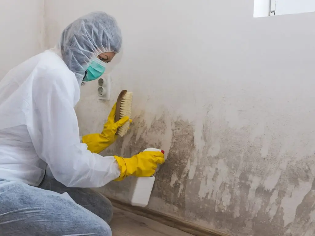 Haushaltsauflösung